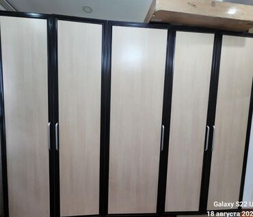 настенные шкафы: Кийим салуучу шкаф, Колдонулган, Түз