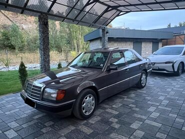 Mercedes-Benz: Mercedes-Benz E-Class: 1993 г., 2.2 л, Автомат, Бензин