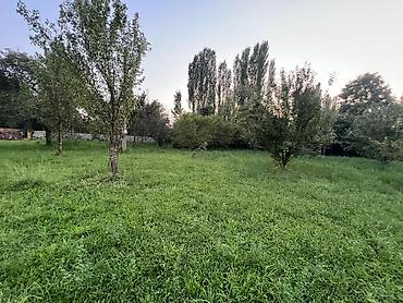 Torpaq sahələrinin satışı: 41 sot, Kənd təsərrüfatı, Kupça (Çıxarış) — 15