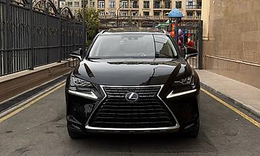 infinity qx56: Lexus NX: 2019 г., Гибрид, Кроссовер — 6