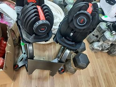 Qantellər: Qantellər, Yeni — 2