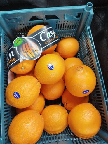 Фрукты: Апельсины Оптом, Бесплатная доставка