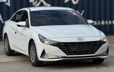 купить авто с кореи бу: Hyundai Avante: 2020 г., 1.6 л, Автомат, Газ, Седан