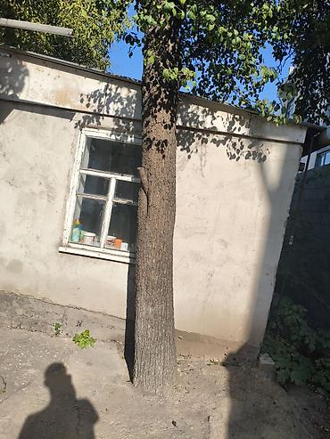 Дома: Продаётся дом с участком 12 соток! — 7