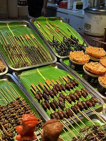 Языковые курсы: Языковые курсы Китайский Для взрослых, Для детей — 19