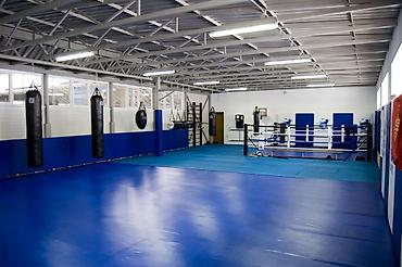 Другое для спорта и отдыха: Ковры маты даянги татами дзюдо борцовские ковры гимнастические маты — 8