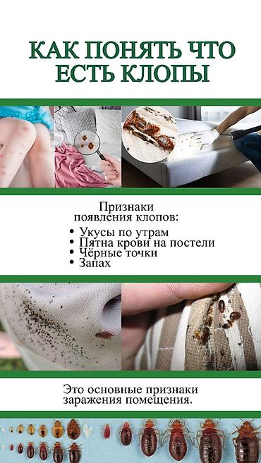 Дезинфекция, дезинсекция: Дезинфекция, дезинсекция, | Клопы, Блохи, Тараканы, | Транспорт, Офисы, Квартиры — 9