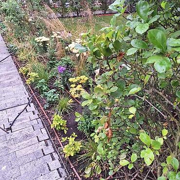 Ремонт сантехники: Ремонт сантехники Больше 6 лет опыта — 26