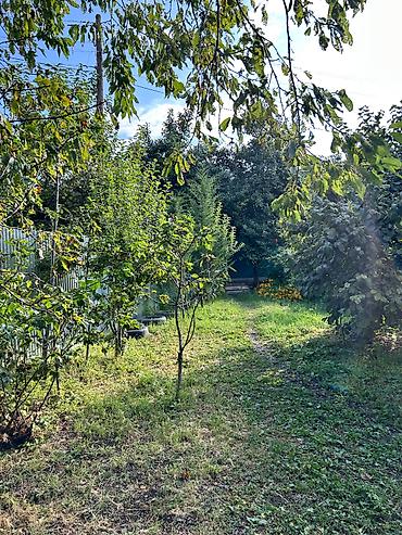 Bağ evlərinin kirayəsi: 🏡 İSMAYILLI – CÜLYAN KƏNDİNDƏ GÜNLÜK BAĞ EVİ | 50 AZN İsmayıllı — 14