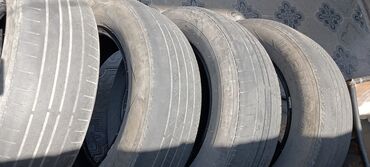 runx alex: Шиналар 205 / 65 / R 16, Жай, Колдонулган, Комплект, Жеңил унаалар, Корея, Hankook