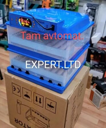 Digər quşlar: Expert şirkətinin rəsmi istehsalı olan, android-rejimli aparatların — 12