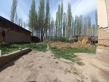 Продажа коттеджей и домов: Дом с участком в черте частного сектора. - Тип: индивидуальный жилой — 9