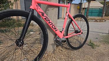 Велосипеды: Aventon Cordoba — трековый/фиксед велосипед - Рама и вилка — 2