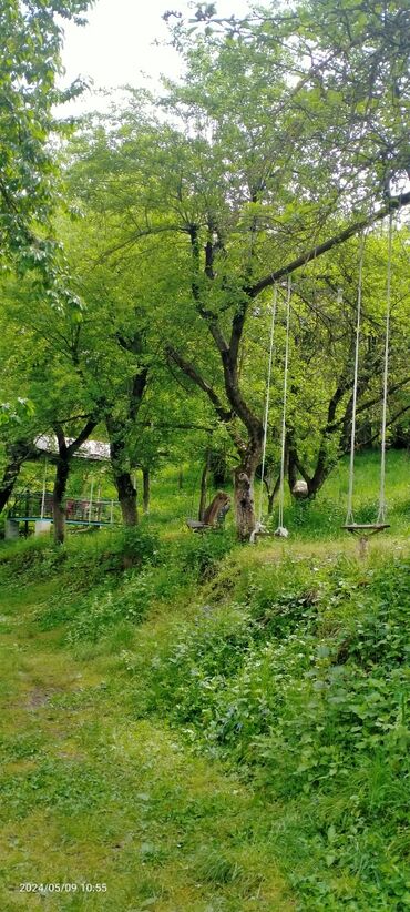 Restoran, kafelər: PANORAMA Ailəvi Restoran – çay kənarında piknik məkanı.QƏCRƏŞDƏ — 15