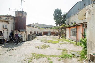Qarajlar: 12 sot, Biznes üçün, Mülkiyyətçi, Kupça (Çıxarış)