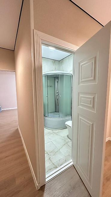 106: 1 комната, 45 м², ул. Горького / Алматинка 106 серия улучшенная, 8 этаж, Свежий ремонт — 3