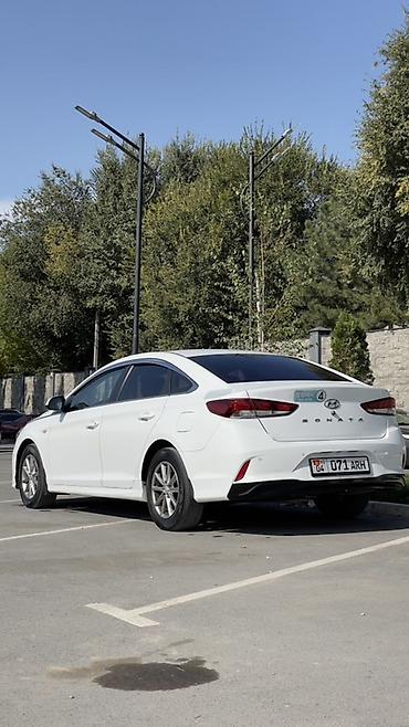 ms 16rs: Hyundai Sonata: 2019 г., 2 л, Автомат, Газ, Седан — 5