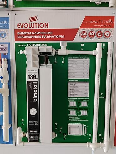 Биметаллический секционный радиатор Evolution EVB500/350 - Тип