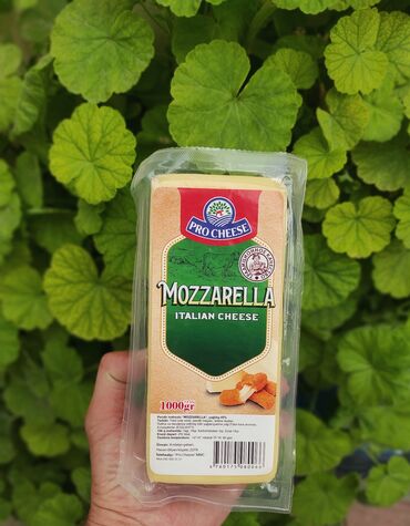 Ət və dəniz məhsulları: Holland Pendiri Mozarella Pendiri 0.250qramliq 1kiloluq 3 kiloluq
