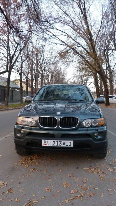 BMW: BMW X5: 2005 г., 3 л, Бензин, Внедорожник