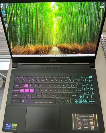 компьютер игровые: Ноутбук, MSI, 32 ГБ ОЭТ, Intel Core i9, 15.6 ", Колдонулган, Жумуш, окуу үчүн, эс тутум SSD