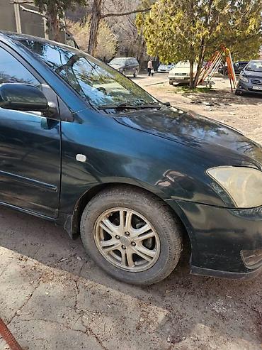 corolla runx: Toyota Corolla: 2005 г., 1.6 л, Автомат, Бензин, Хэтчбэк — 8