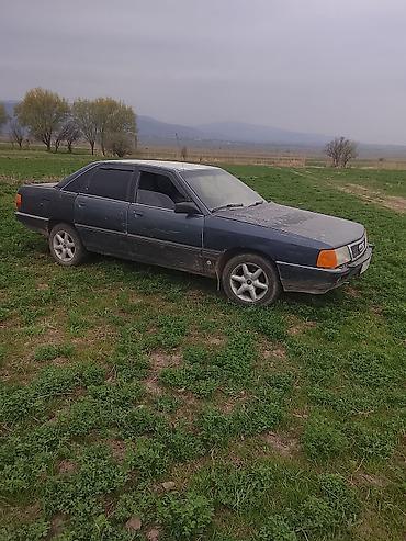 Audi: Audi 100: 1986 г., Седан — 4
