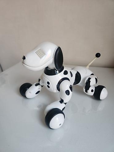 Oyuncaqlar: Ağıllı robot it Zummer.Orijinaldır xaricden getirilib.Tekerli rahat — 3