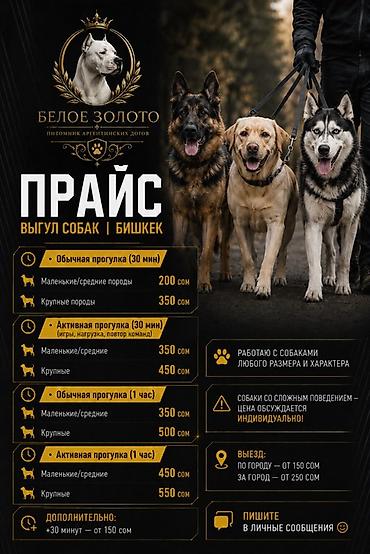 Продажа собак: 🐾 • профессиональный выгул собак | питомник «белое золото» | бишкек • — 1