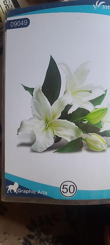 Натяжной потолок: Натяжной потолок Глянцевое, Матовое, 3D потолки — 5