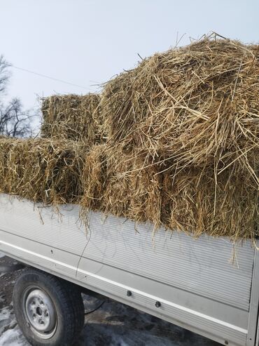 корм для домашних животных: Есть в наличии 30 тюков срочно продаю каму нужно заоните цена