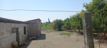 Bağ evlərinin satışı: Ağsu, 100 kv. m, 3 otaqlı, İnternet, Qaz, İşıq — 8