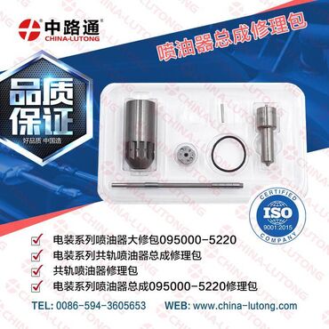 Common Rail Injector Repair Kits ve China Lutong is one of