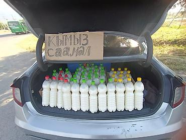 Кымыз (саамал) в пластиковых бутылках