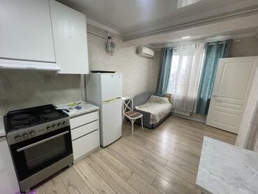 продаю 1 ком квартиру в бишкеке: 1 комната, 30 м², Элитка, 10 этаж, Евроремонт