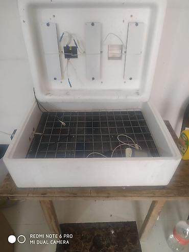 mini evler: İnkubator aparatı. Korpus qalın izolyasiyalı materialdan hazırlanıb — 1