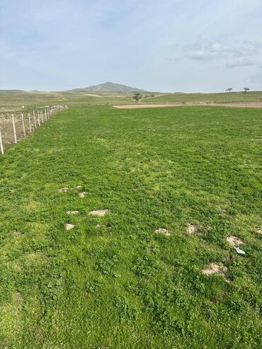 военный антанока продаю дом: 150 соток, Бизнес үчүн, Сатып алуу-сатуу келишими