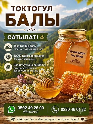 бишкек чаек: Токтогульский горный мёд - Натуральный, свежий, без добавок - 100% — 1