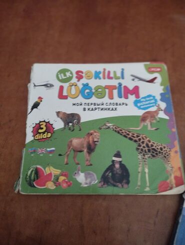 uşaqlar üçün samokat beqovelləri: Uşaqlar üçün nəzərdə tutulmuş "İlk Şəkilli Lüğətim" adlı kitab. Bu