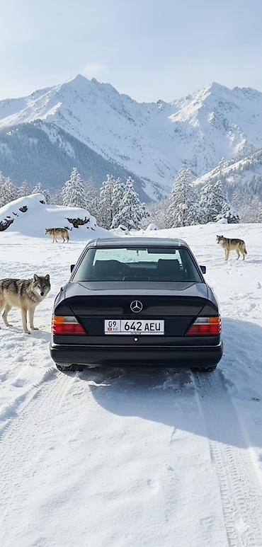 Транспорт: Mercedes-Benz W124: 1991 г., Седан — 3