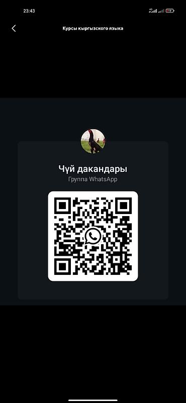 попутка нарын бишкек ватсап группа: Курсы кыргызского языка — 1