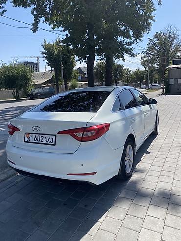 sonata ef: Hyundai Sonata: 2019 г., 2 л, Автомат, Газ, Седан — 4