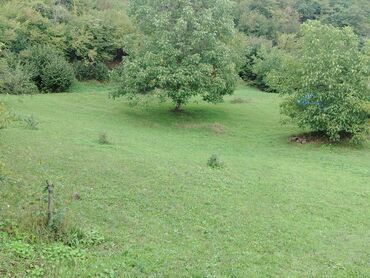 Torpaq sahələrinin satışı: Tikinti — 2