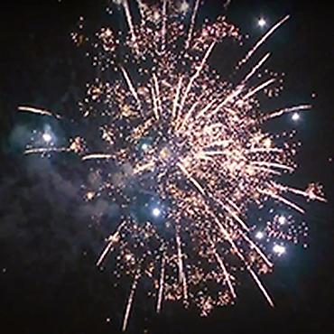 молочай цветы: Салюты и фейерверки в Кыргызстане! Пиротехническая компания "ПироМаг" — 4