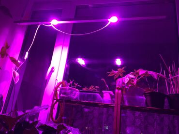 Baštenska rasveta: Led Reflektor Rast Biljki Led Grow Full Spectrum 50w 220v — 11