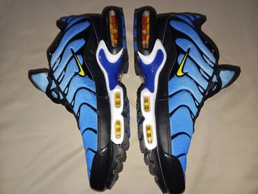 зимние кроссовки salomon: Мужские кроссовки, 41.5, Nike, Новый, цвет - Синий, Самовывоз