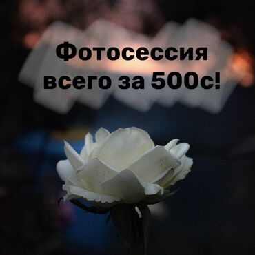 гостиница в нарыне: Фотограф, видеооператор