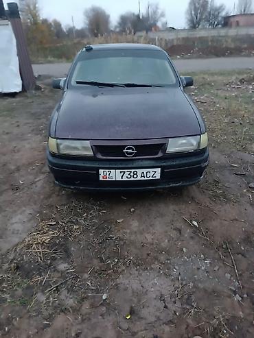 210 панель: Opel Vectra: 1995 г., 1.8 л, Седан — 1