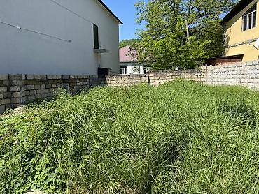20 ci sahe: 1 sot, Biznes üçün, Mülkiyyətçi, Kupça (Çıxarış) — 4