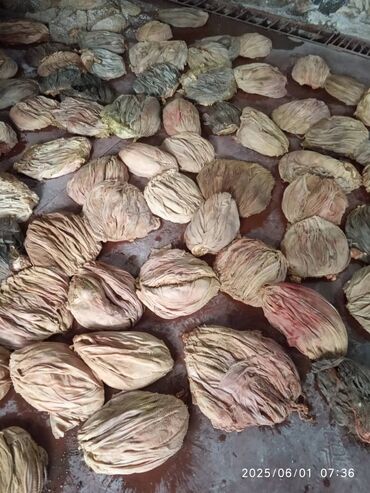 шкаф для кухни б у: Сушеные стручки кардамона представляют собой натуральные плоды
